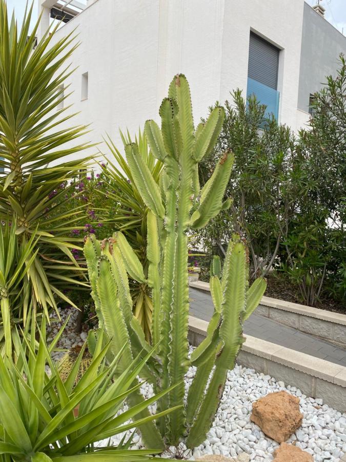 Oasis Beach Apartments Alicante Eksteriør billede