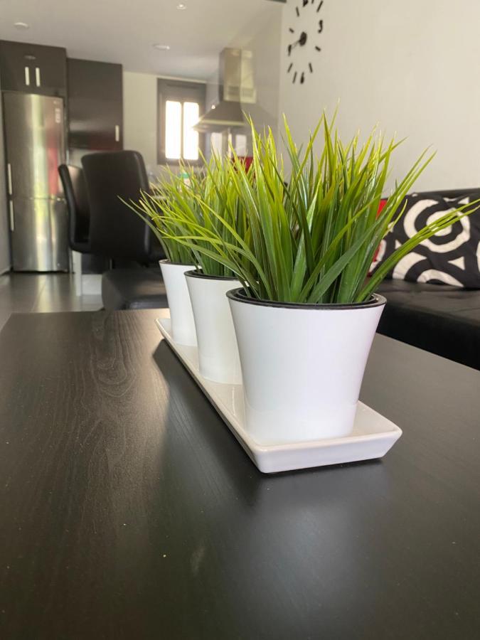 Oasis Beach Apartments Alicante Eksteriør billede