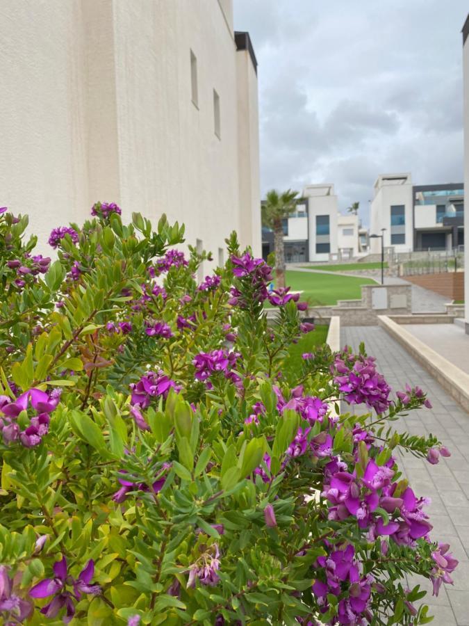 Oasis Beach Apartments Alicante Eksteriør billede